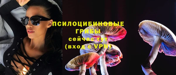 гидра Алзамай