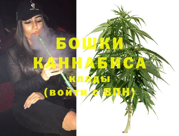гидра Алзамай