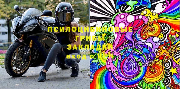 ПСИЛОЦИБИНОВЫЕ ГРИБЫ Алексеевка
