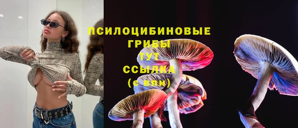 гидра Алзамай