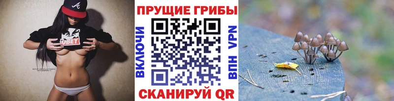 Галлюциногенные грибы Magic Shrooms  что такое   Удомля 