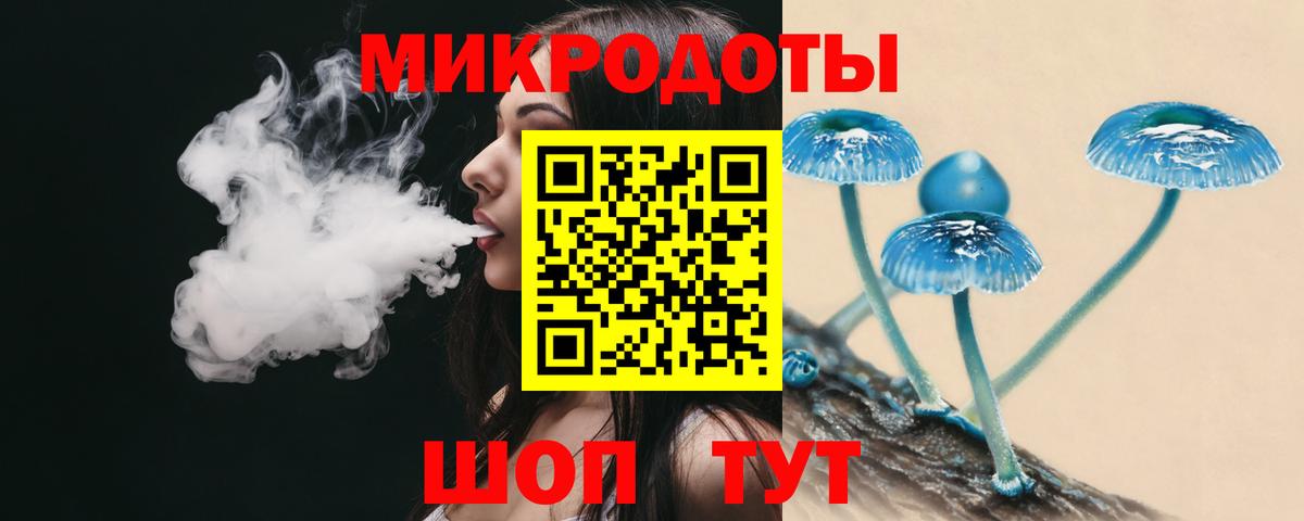 Галлюциногенные грибы Magic Shrooms  Вход с VPN  что такое   Удомля 